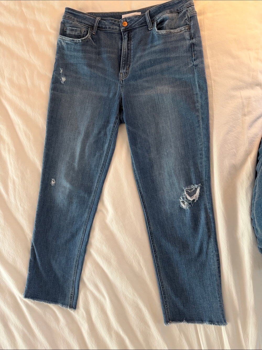Flying Monkey Stretch Distressed Cropped Blue Jeans